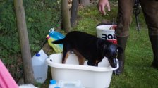 201907 - Hundekurs Abschluß